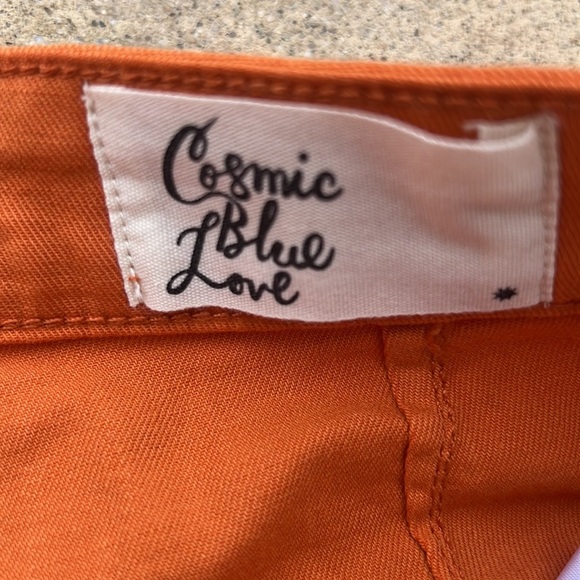 Cosmic Blue Love Stitch Fix Serena High Rise Orange Shorts Women's Size 29 NWT - Picture 5 of 8
